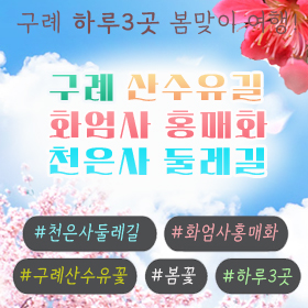 ★화엄사홍매화+천은사둘레길
